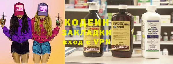 mdpv Бородино