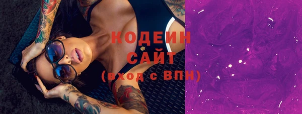 mdpv Бородино