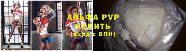 mdpv Бородино