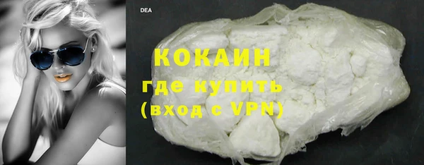 mdpv Бородино
