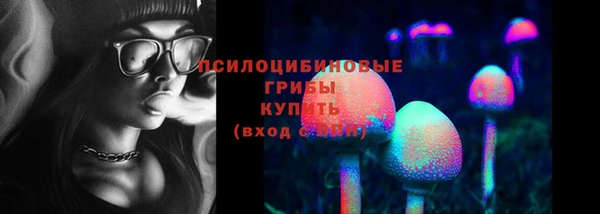 mdpv Бородино