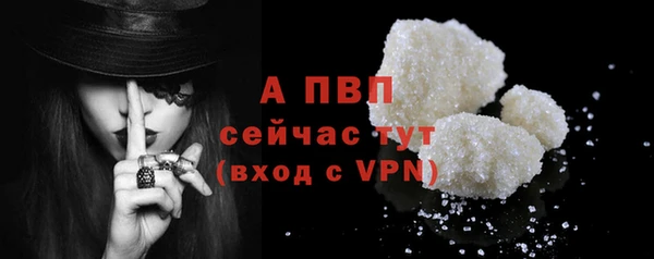 mdpv Бородино