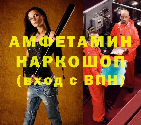 mdpv Бородино