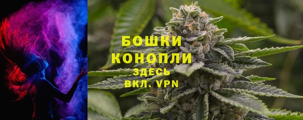 mdpv Бородино