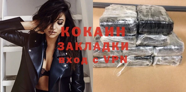 mdpv Бородино