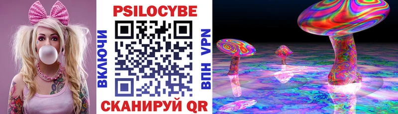 дарнет шоп  Прокопьевск  Галлюциногенные грибы мицелий 